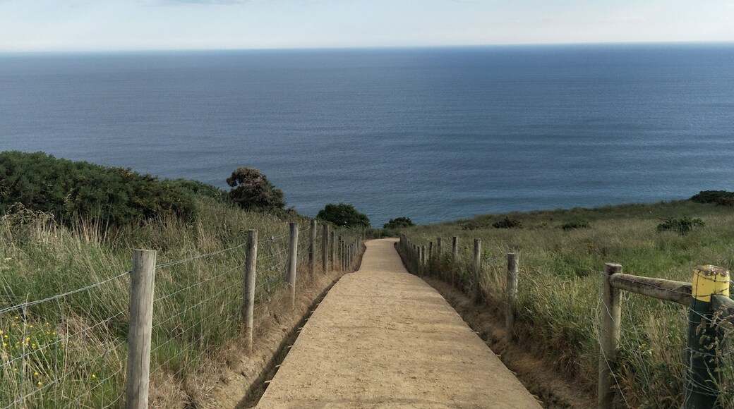 While exploring dunedin reached this famous beach called Tunnel Beach and it had the amazing views..
