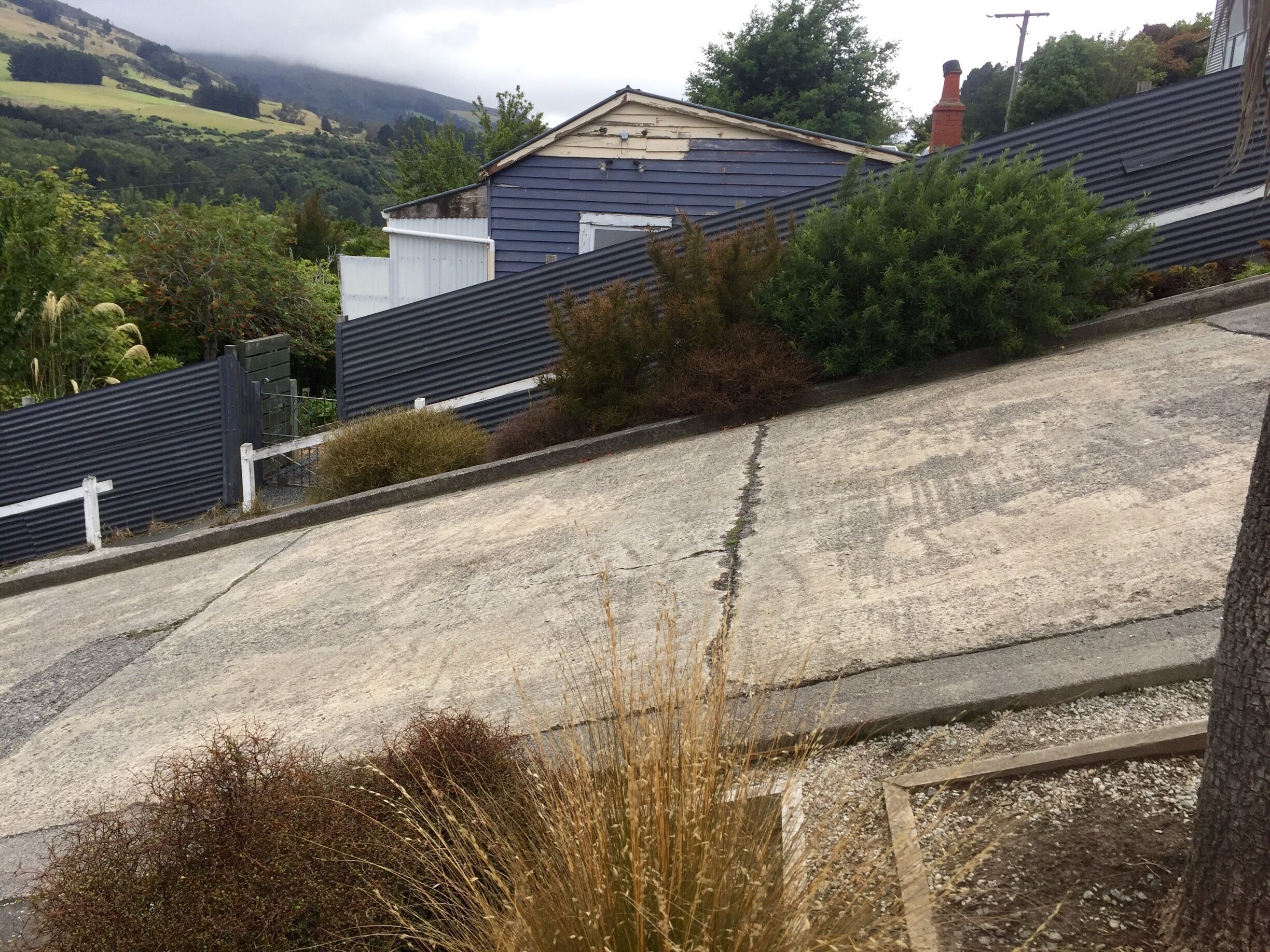 The worlds steepest street... Had to check it out. It didn't seem that bad, until you reach the top. Obviously pictures don't either incline justice. Must be so obnoxious living on the street with all the tourists daily. 