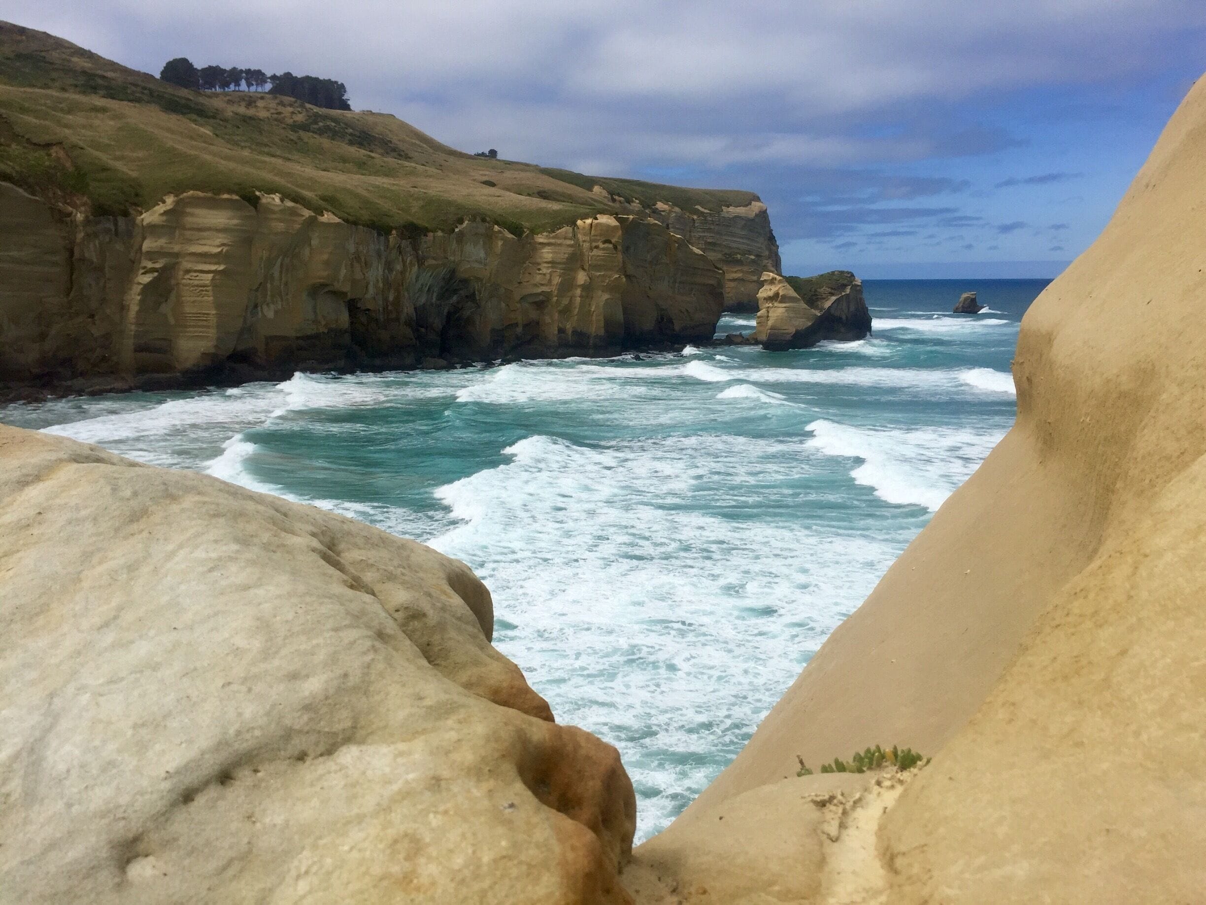 This was probably my favorite ocean view issue in New Zealand. Stunning! Do NOT miss!!!
It isn't a super long hike but it is pretty steep. 