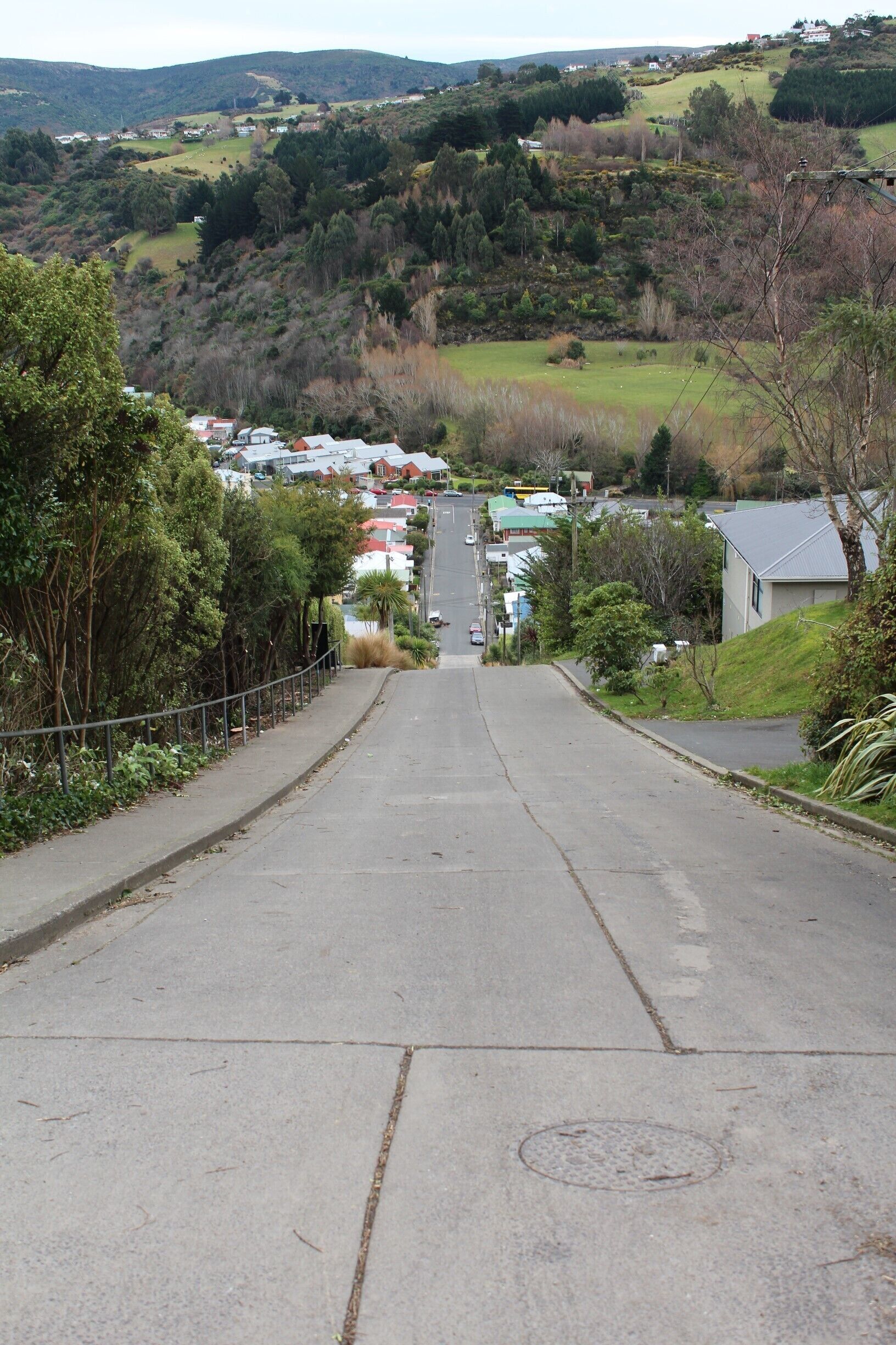 Baldwin Street, Dunedin New Zealand - the steepest street in the world