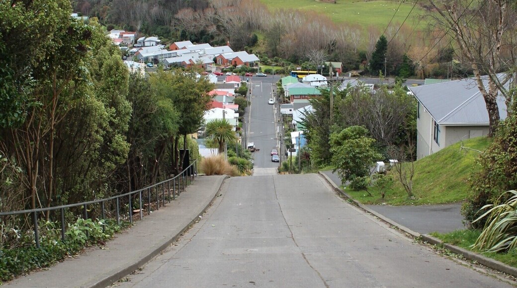 Baldwin Street, Dunedin New Zealand - the steepest street in the world