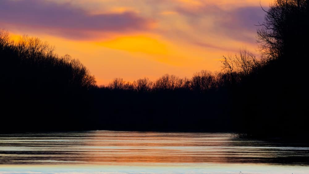 A sunset over a body of water with silhouetted trees and a clear sky.