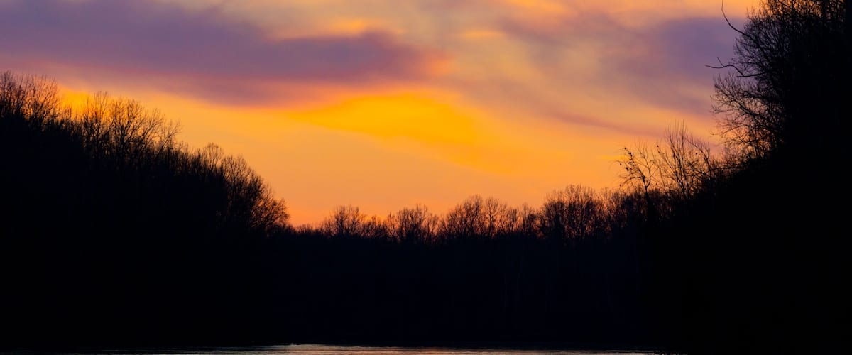A sunset over a body of water with silhouetted trees and a clear sky.