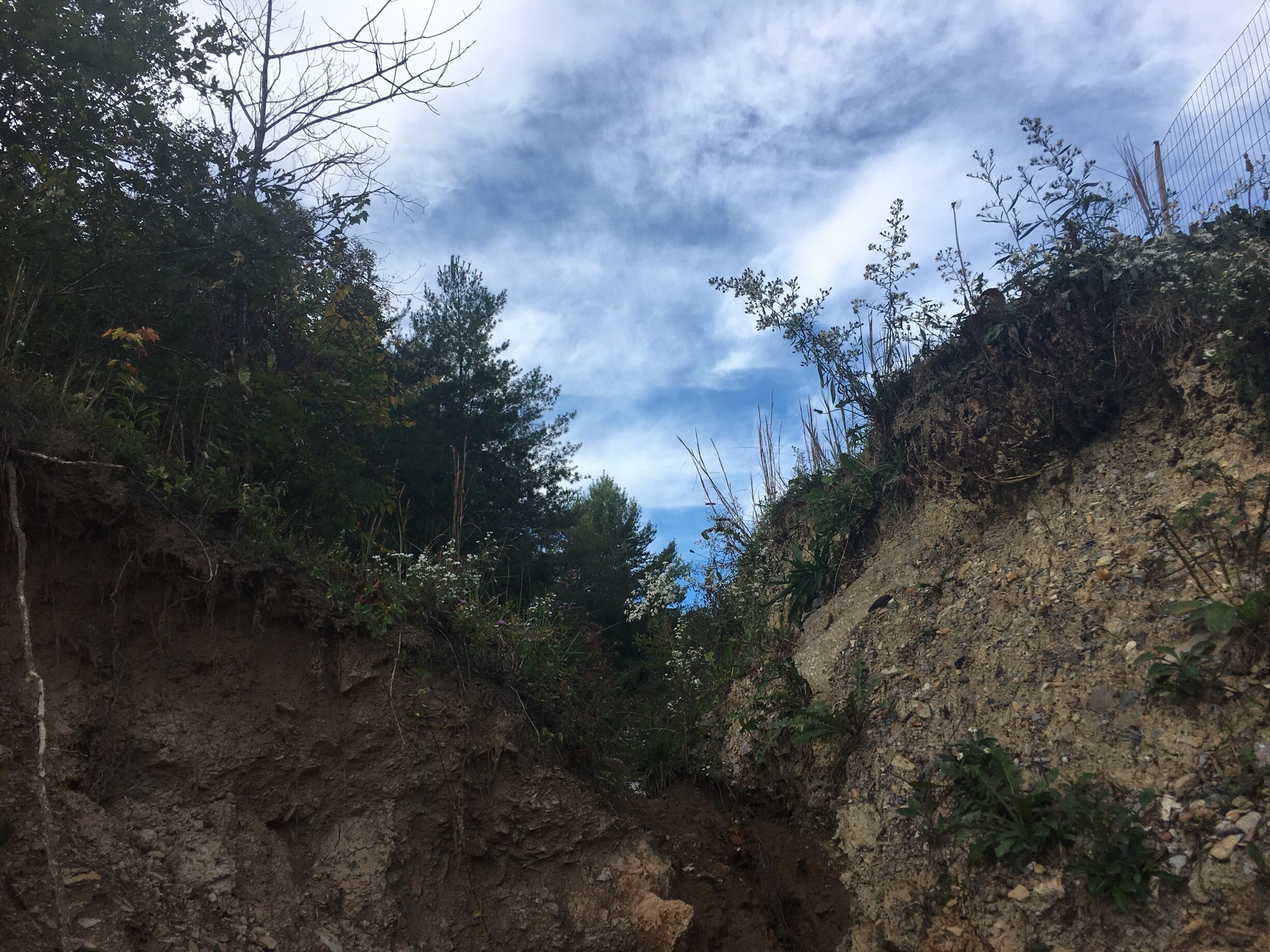 Day 1 of my 30 day journey.