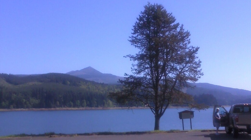 Sweet Home, Oregon. About as nice as it gets.