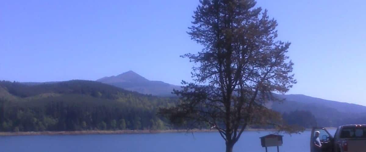 A lake with a tree and a parked truck.
