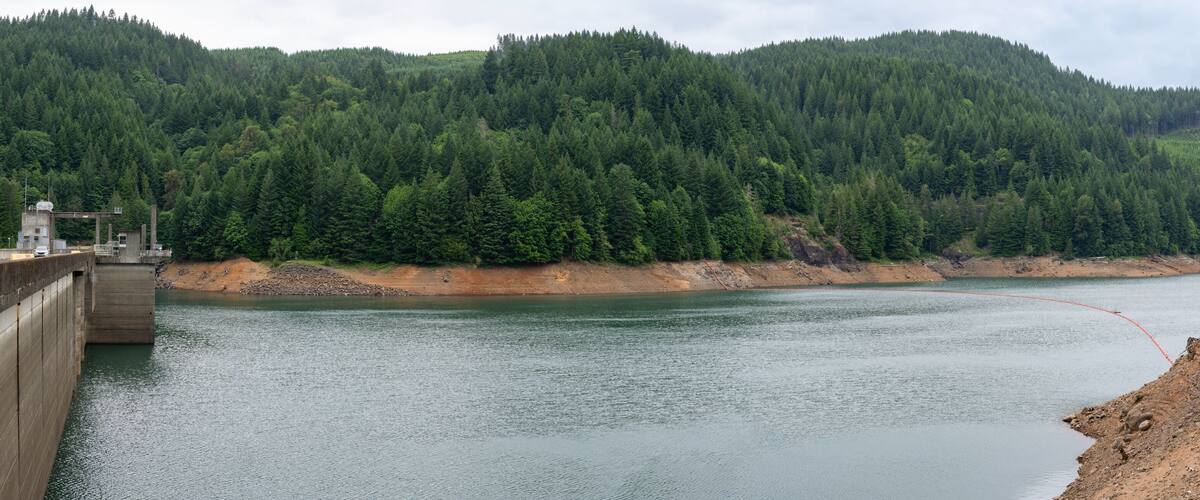A dam with a one-lane bridge, surrounded by dense forest and a river.