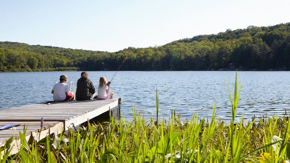 A wooden dock extending into a calm lake surrounded by lush greenery.