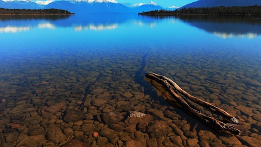 Tranquil morning at Te Anau Downs, New Zealand