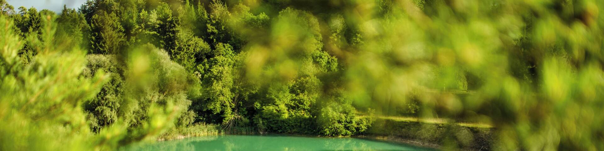 Blauer Steinbruch in Ehingen(Donau), Alb-Donau-Kreis, Baden-Württemberg, Deutschland. Aufnahmerichtung von Nord nach Süd. Naturschutzgebiet NS:BW-4.086