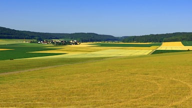 Un vaste paysage agricole, avec des champs à différents stades de croissance, un petit village à l’horizon et des collines douces sous un ciel dégagé.