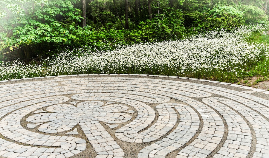 Pavimento de piedra circular con un diseño floral, rodeado por un bosque denso y un campo de flores blancas.