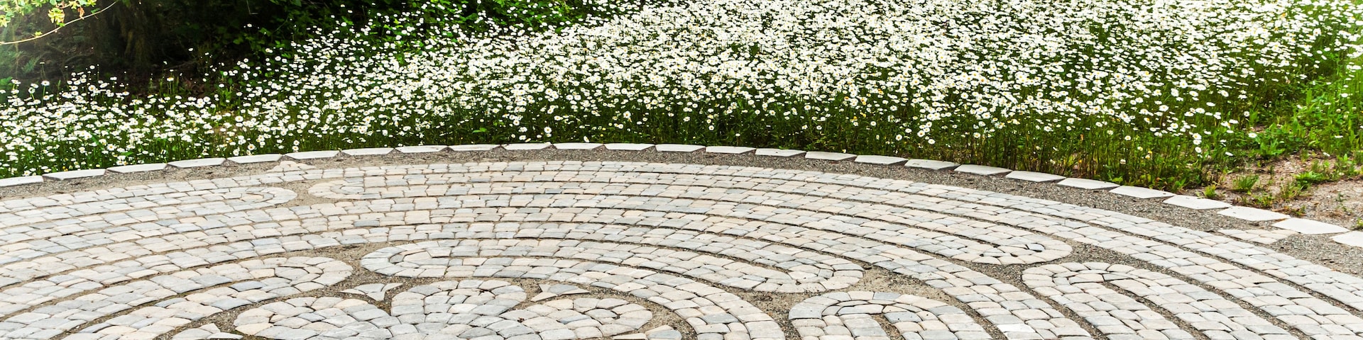 Pavimento de piedra circular con un diseño floral, rodeado por un bosque denso y un campo de flores blancas.
