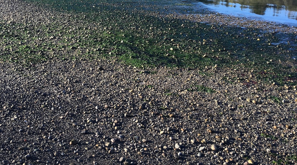 Fun little island to explore & get away from it all.