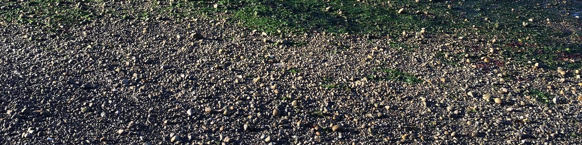 Fun little island to explore & get away from it all.