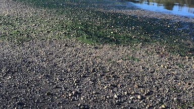 Fun little island to explore & get away from it all.