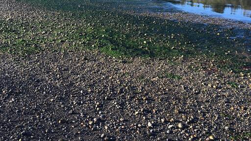 Fun little island to explore & get away from it all.