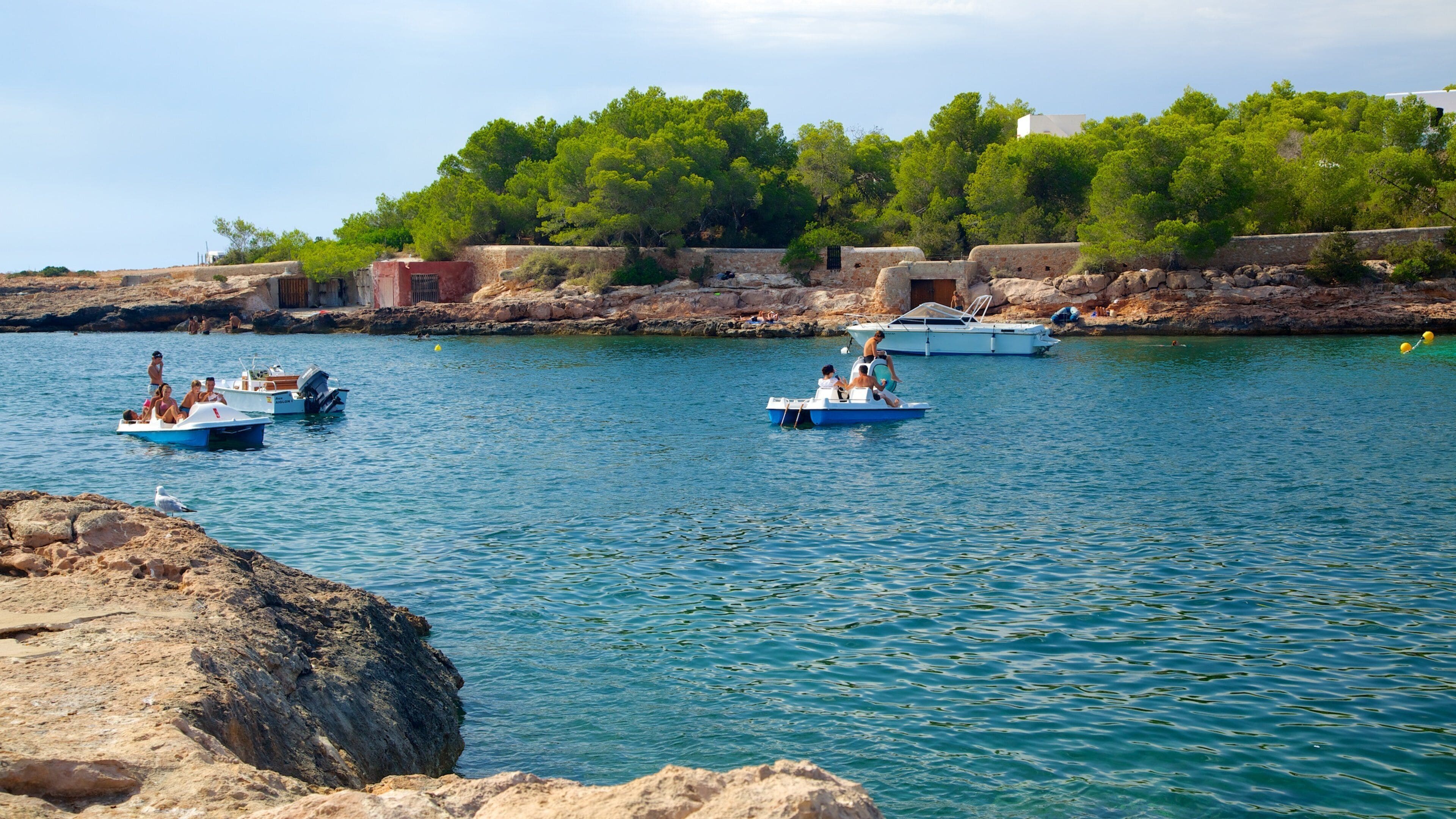 Cala Gració bevat ruige kustlijn, landschappen en varen