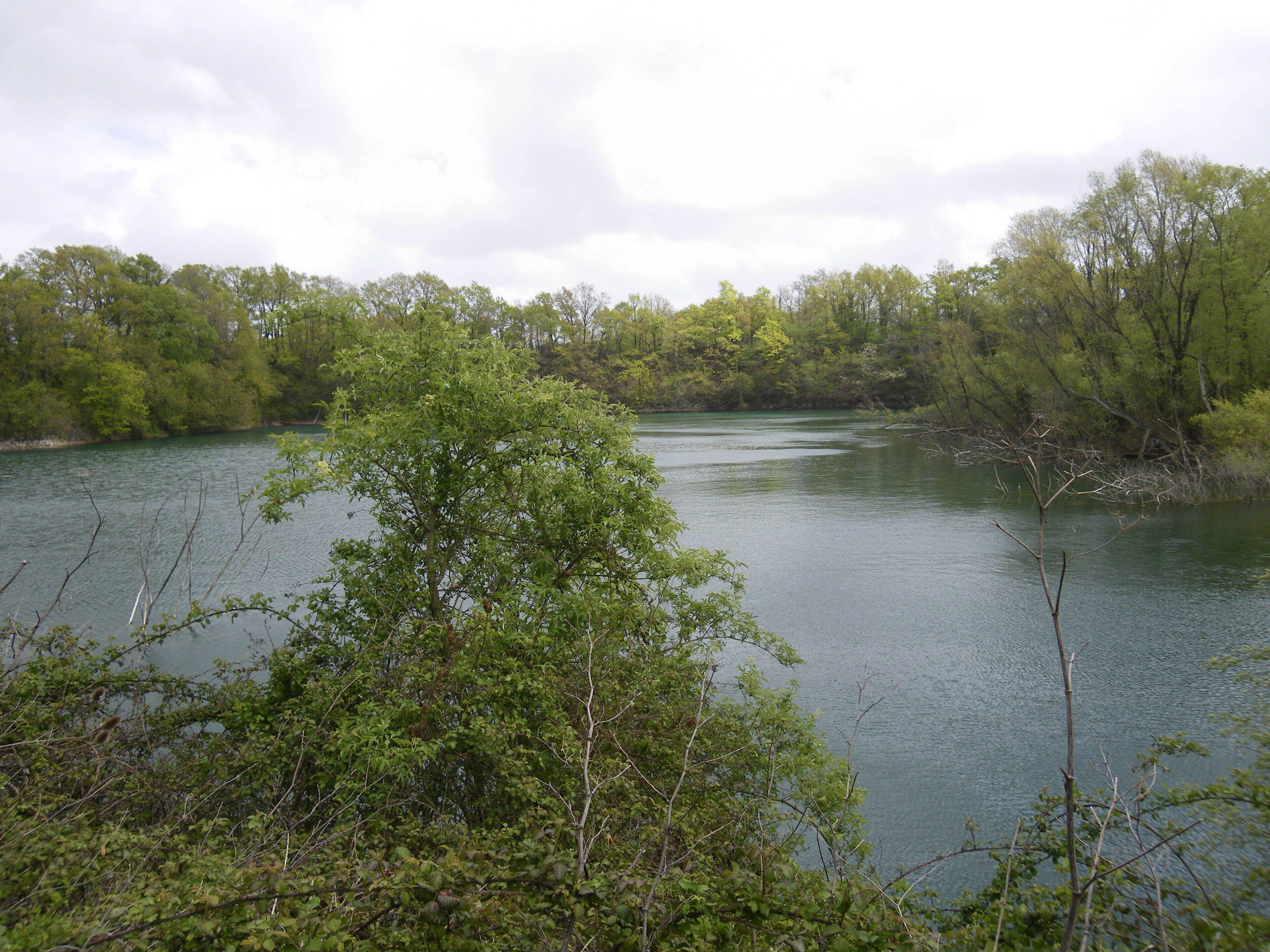 etang sur l'ancienne mine de chaux de lormandiere