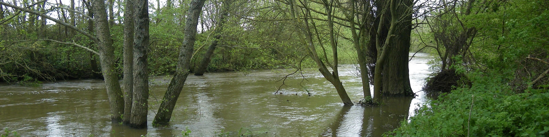la riviere " seiche " a chartres de bretagne