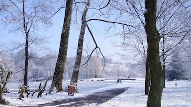 Um parque coberto de neve com árvores secas e um caminho.