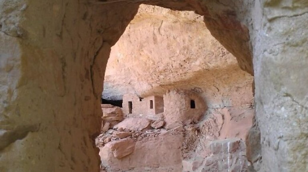 Lion Canyon Ruins. Ute Mountain Tribal Park