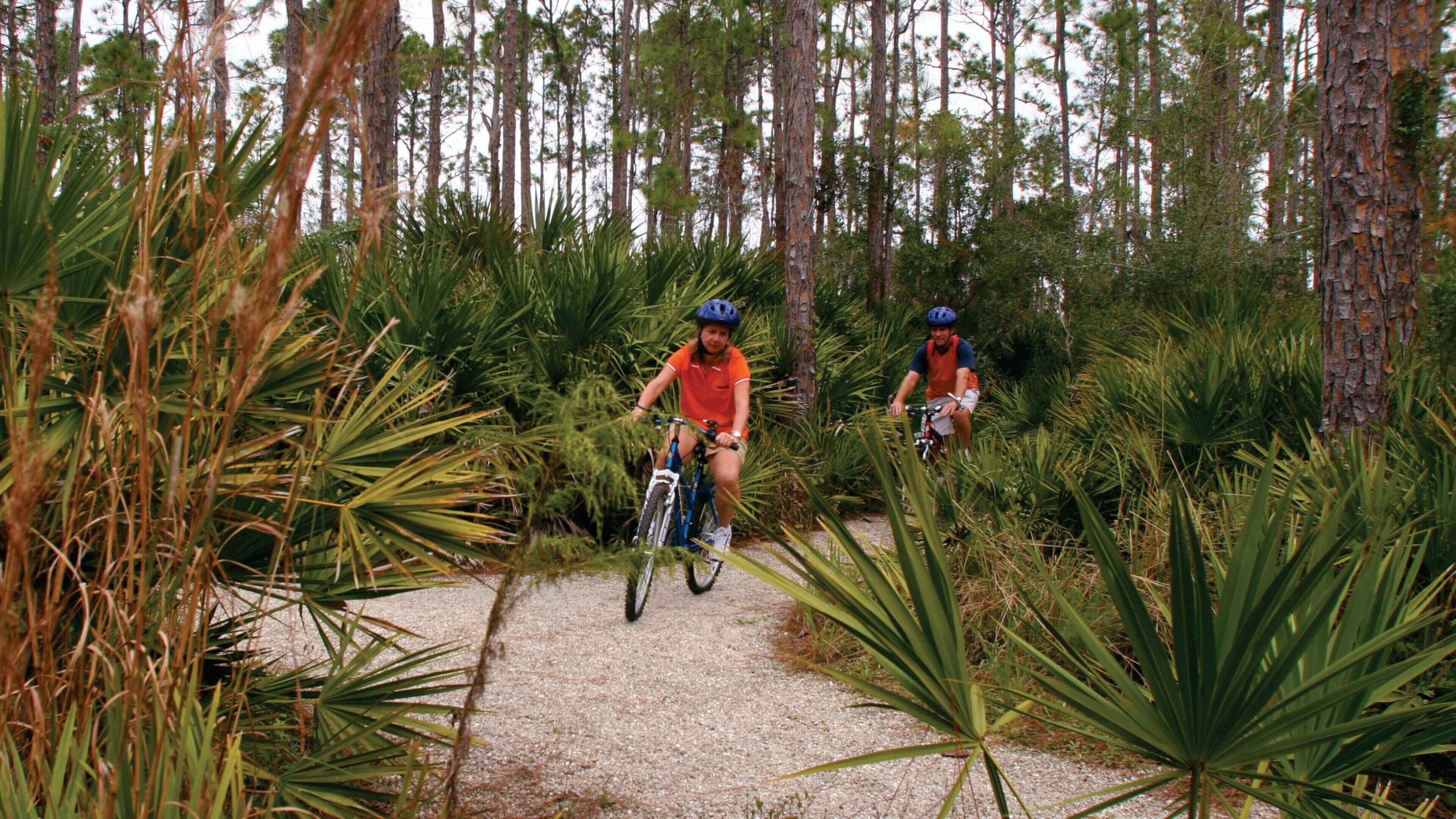 Port Charlotte featuring cycling and forests
