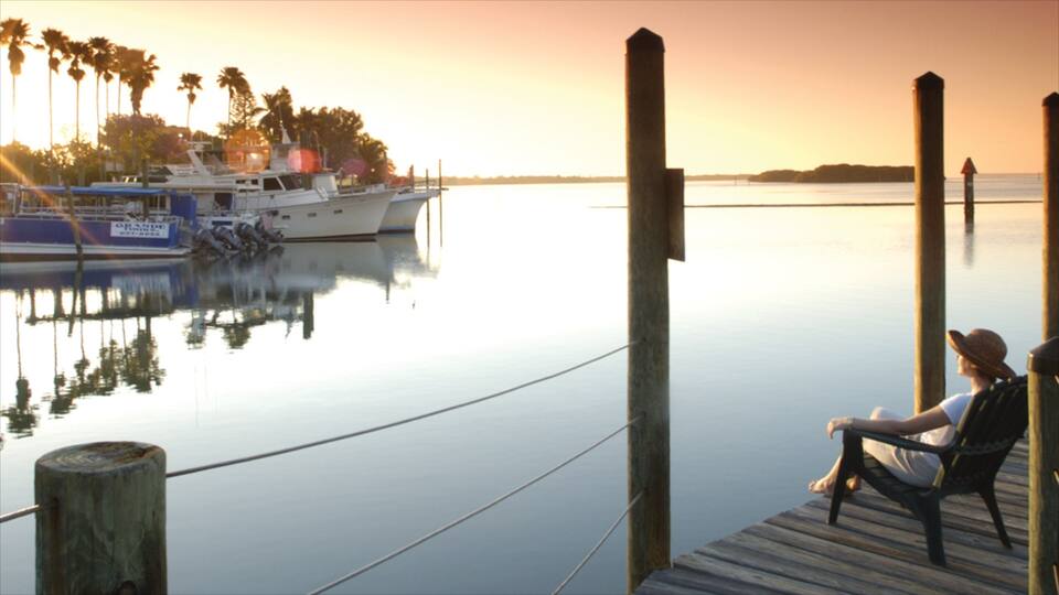 A calm marina with boats docked, palm trees, and a wooden pier where two people are sitting.