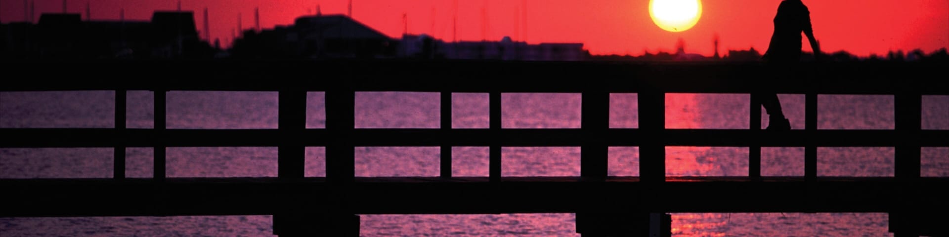 Port Charlotte - Charlotte Harbor showing a sunset and general coastal views