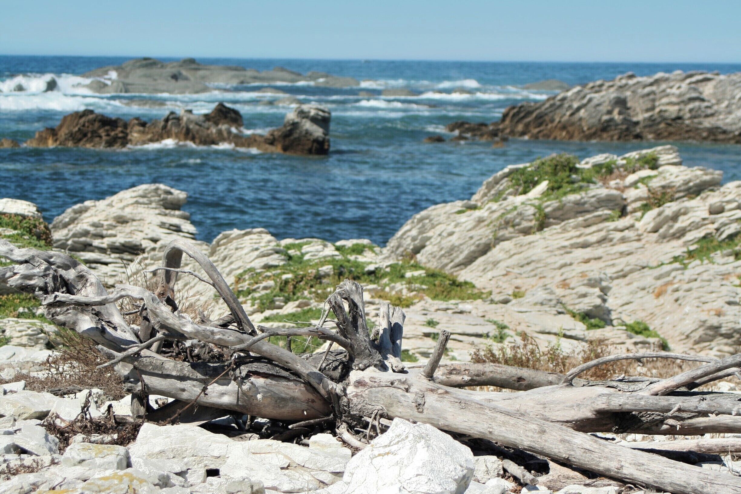 If you do the peninsula walk, don't forget to walk down the stairs at Whalers bay. There are some beautiful photo opportunities and if you're lucky there will also be some seals around. 