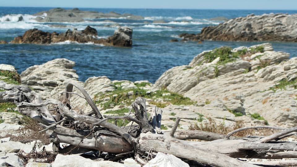 If you do the peninsula walk, don't forget to walk down the stairs at Whalers bay. There are some beautiful photo opportunities and if you're lucky there will also be some seals around.