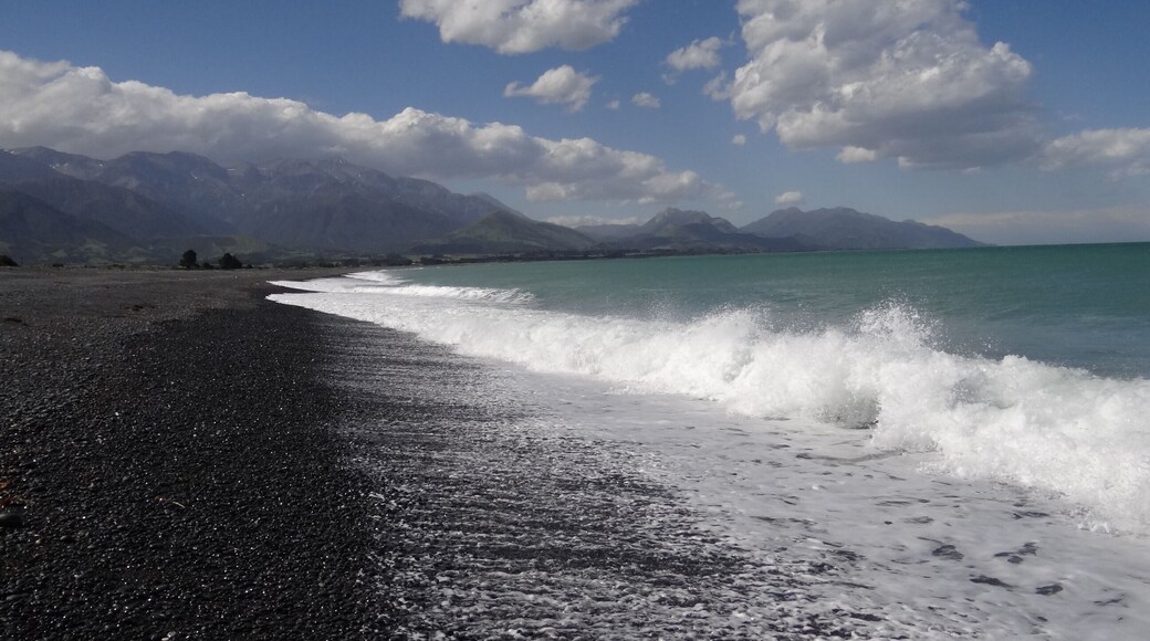 Kaikoura Beach & Ozean, Whale Watching, Neuseeland / New Zealand