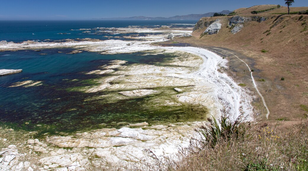 Kaikoura