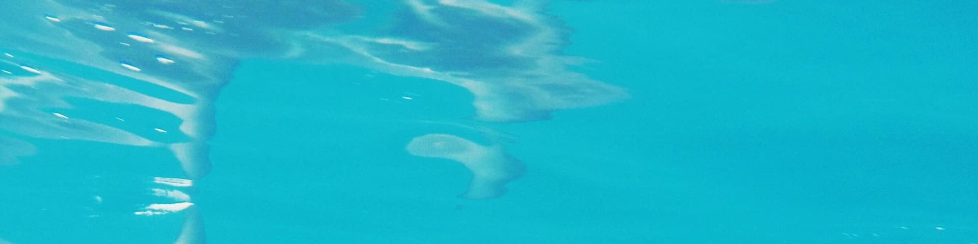 Two dolphins swimming underwater.
