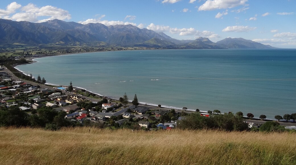 Kaikoura Beach & Ozean, Whale Watching, Neuseeland / New Zealand