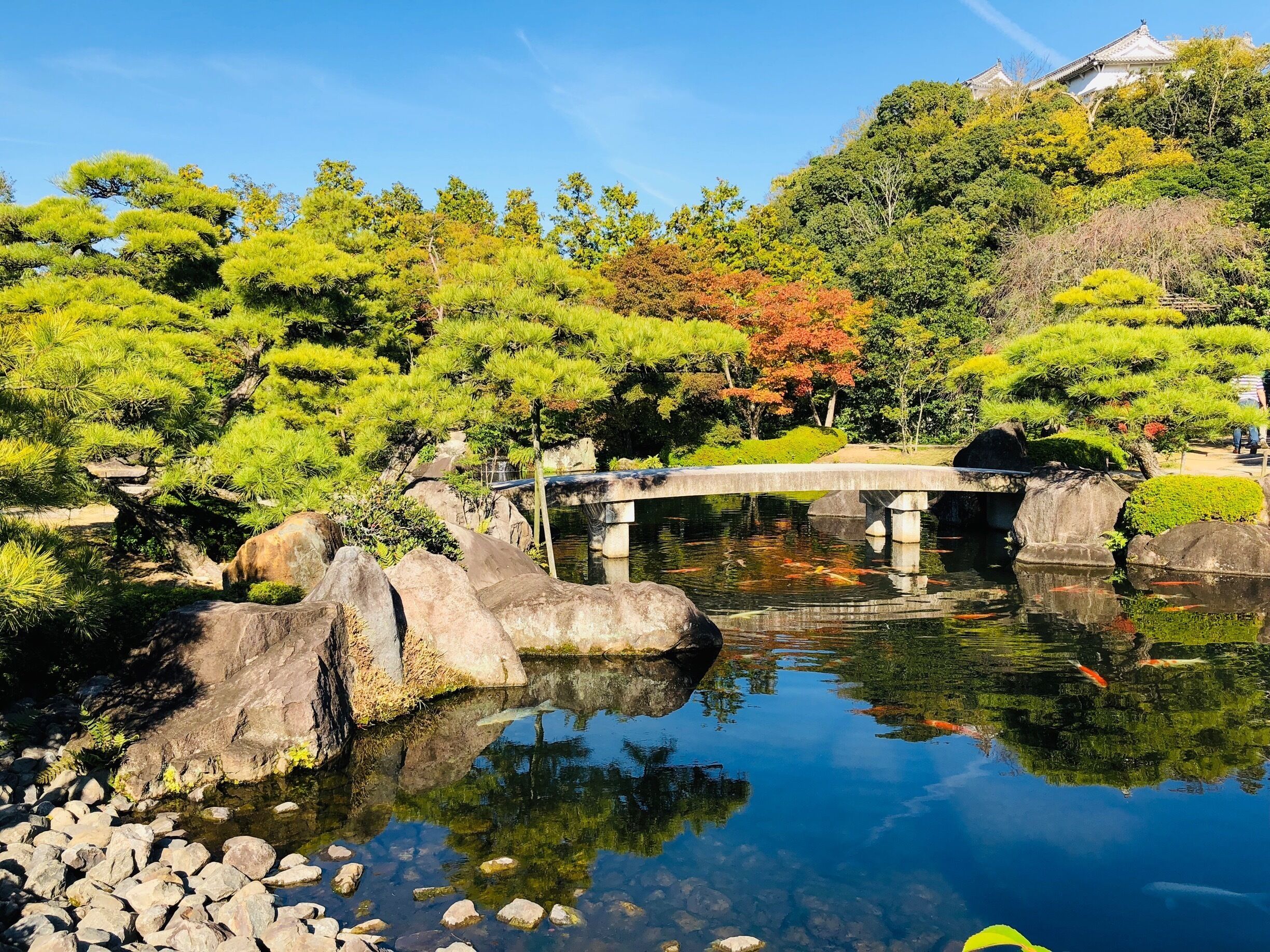 Koko-En garden is right next to Himeji Castle and well worth a stop. The leaves were just starting to turn. It’s a smaller garden but so many beautiful vistas.