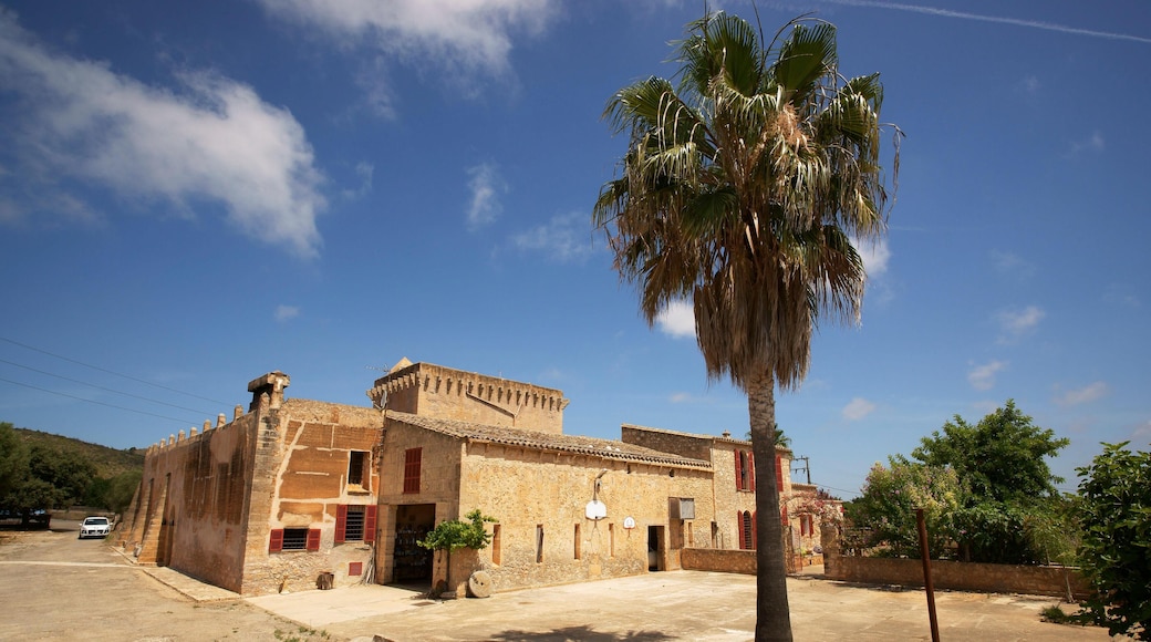 Sant Llorenc des Cardassar