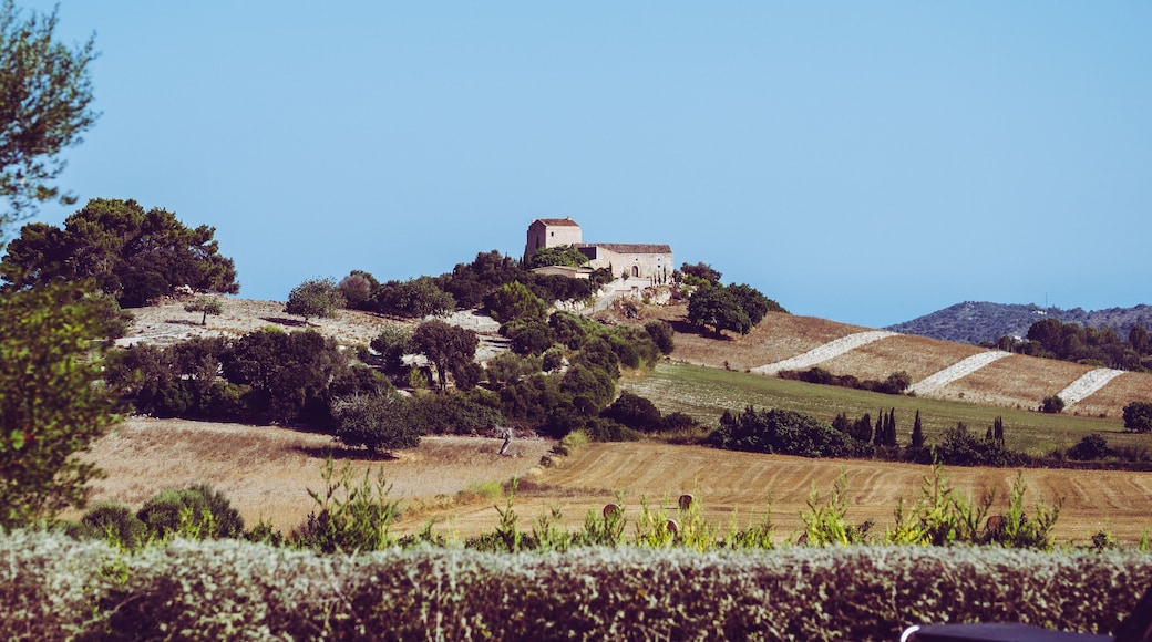 Sant Llorenç des Cardassar