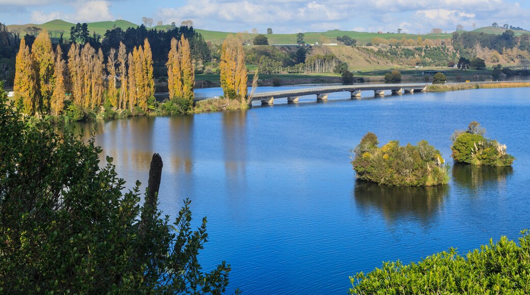 Lake Karapiro, a man-made lake on the Waikato River, New Zealand, in autumn. A bridge crosses the lake beside a stand of poplar trees