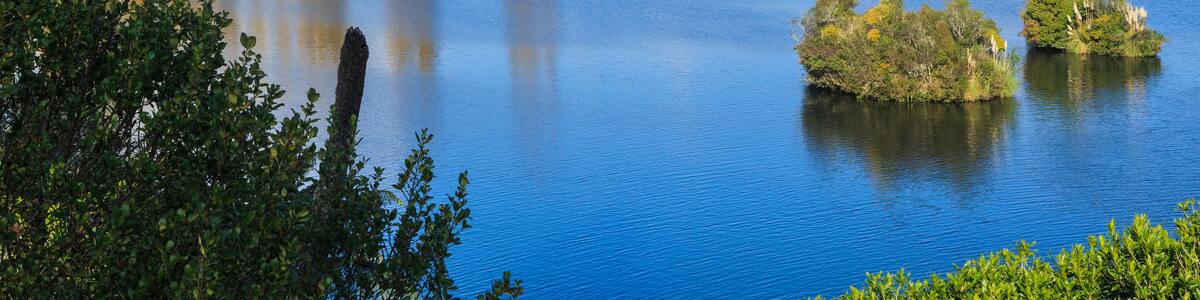 Lake Karapiro, a man-made lake on the Waikato River, New Zealand, in autumn. A bridge crosses the lake beside a stand of poplar trees