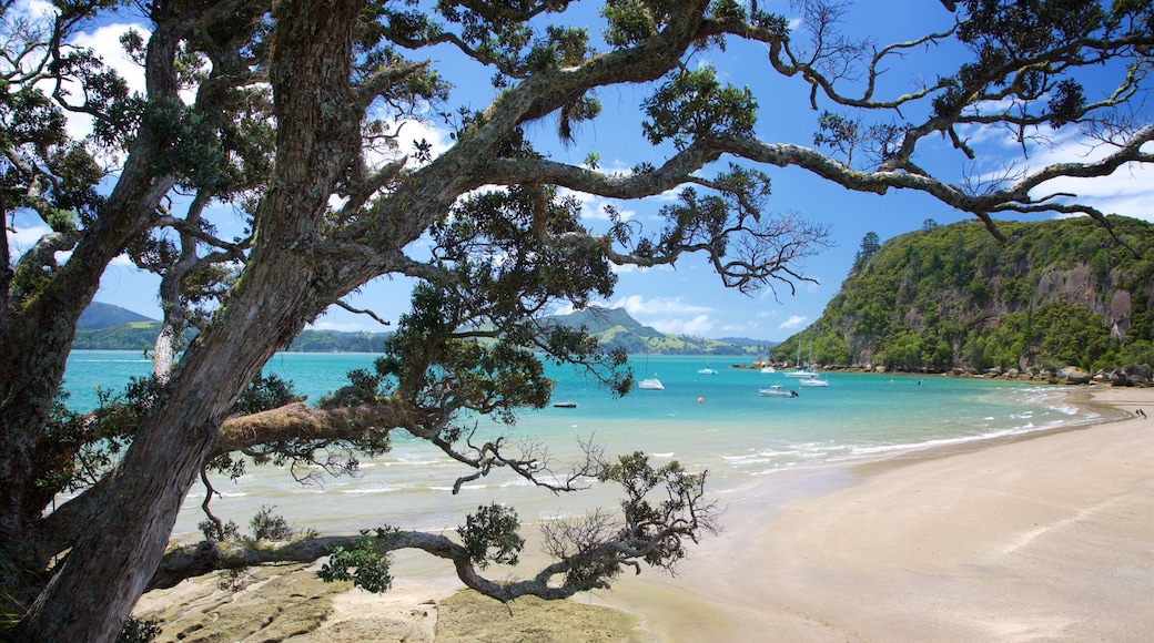 Shakespeare Lookout que incluye costa escarpada, una bahía o puerto y una playa de arena