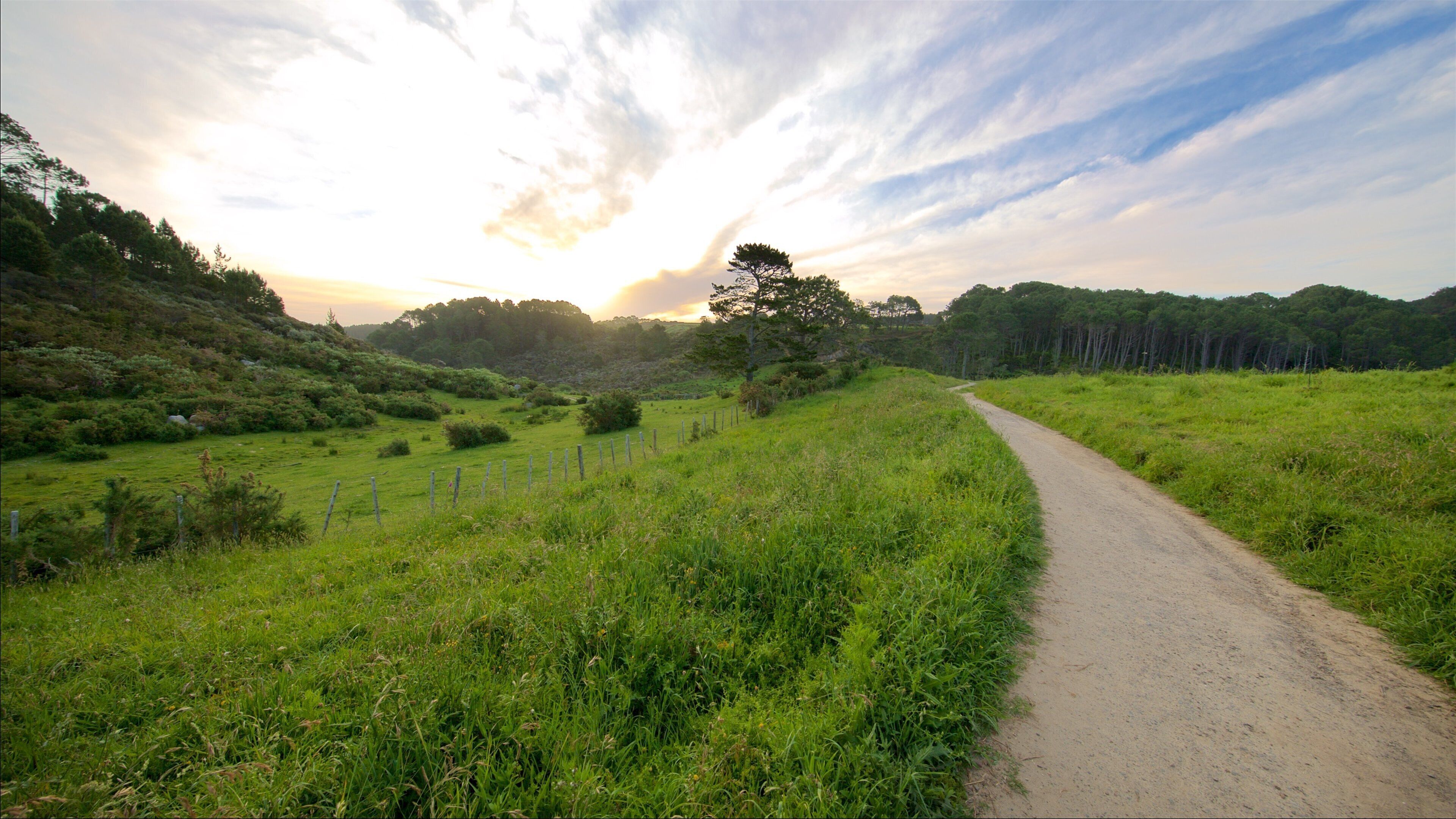 Coromandel Peninsula which includes tranquil scenes and a sunset