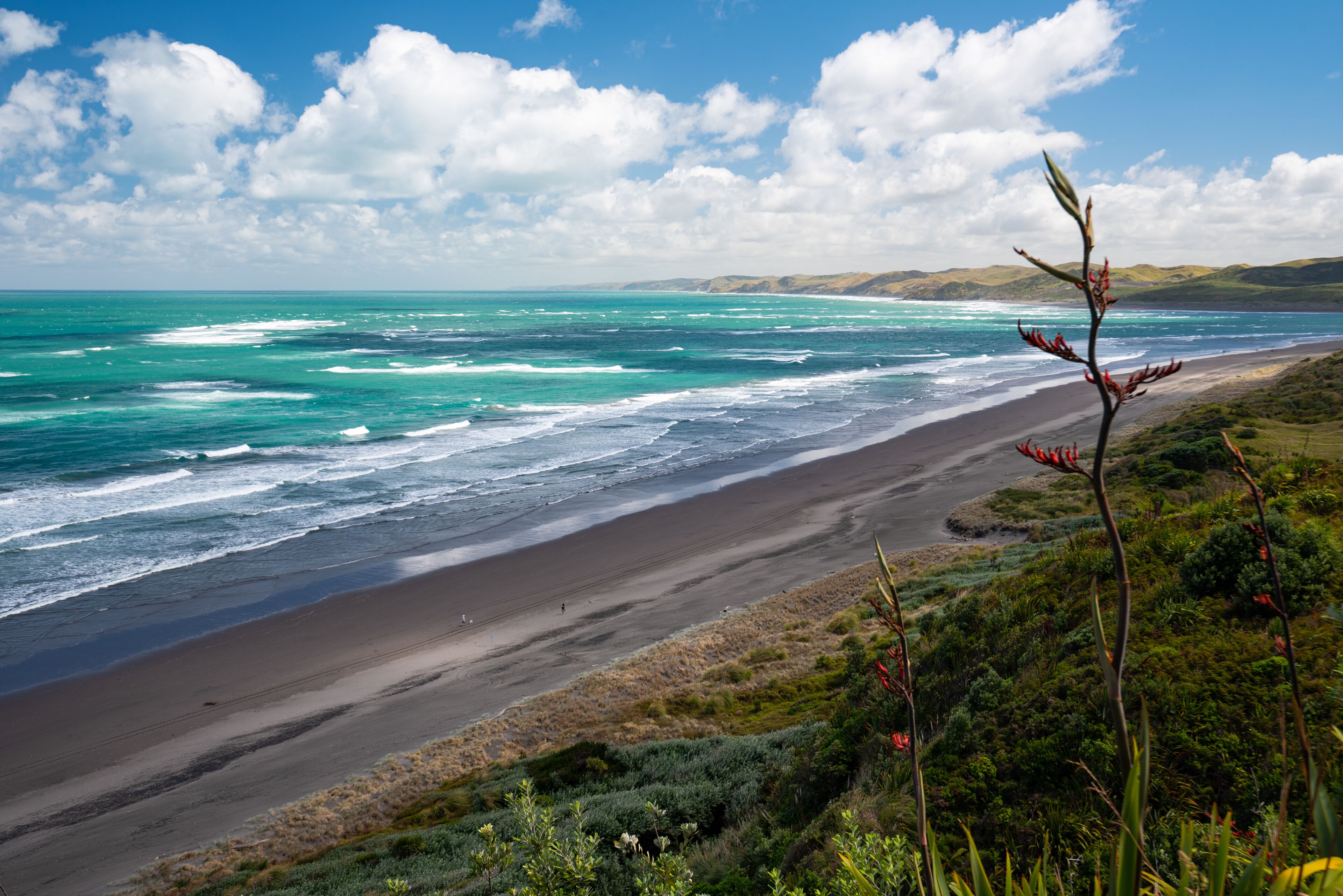 Panorama of Ngarunui beach, perfect surfing spot in Raglan, Waikato, New Zealand