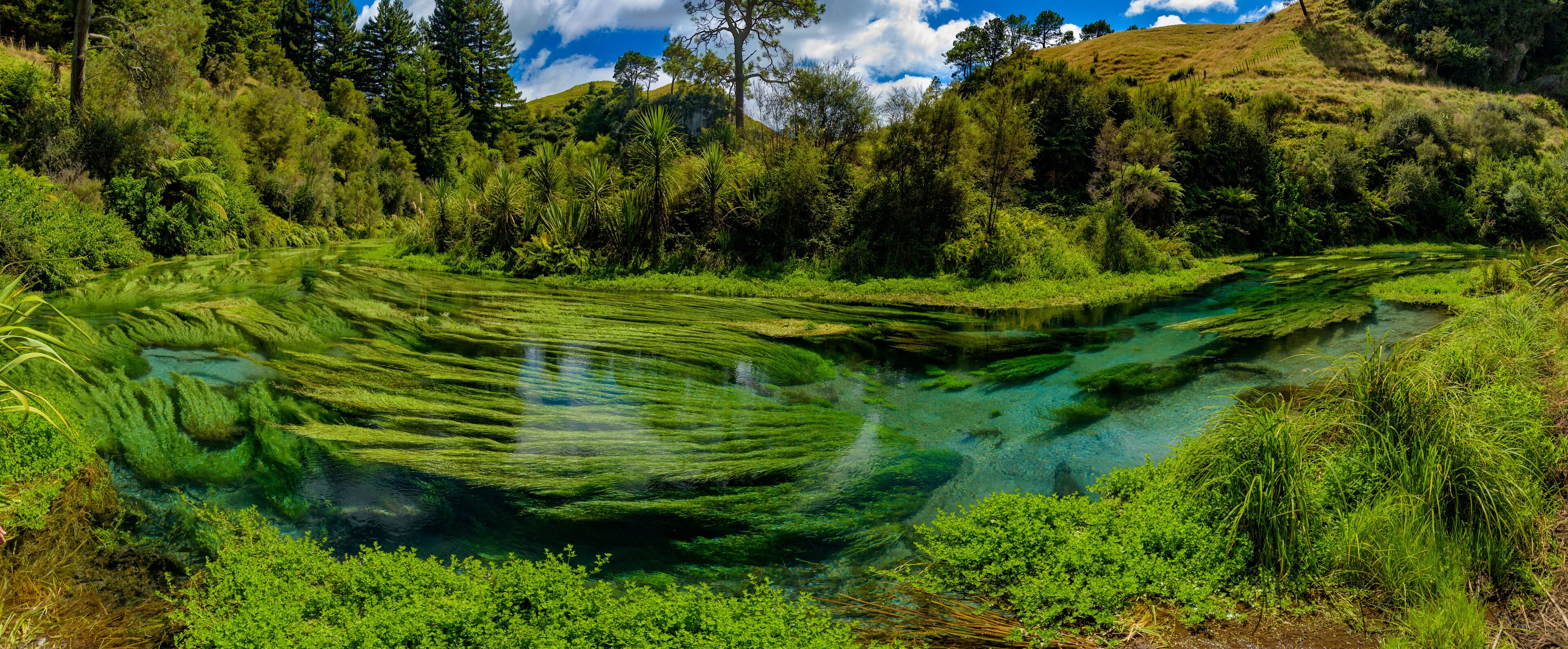 Un río verde y transparente serpentea por una ladera boscosa.