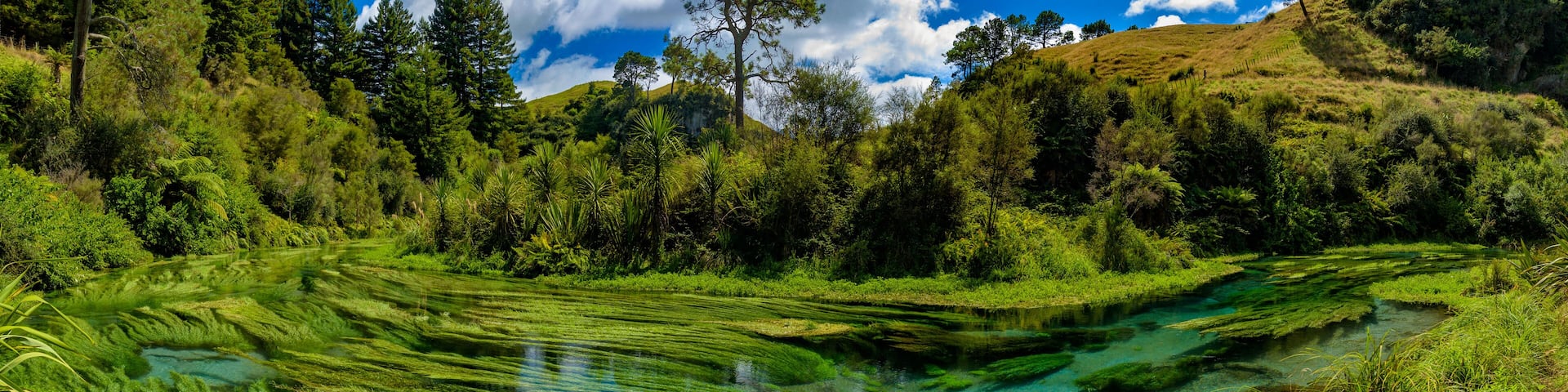 A clear, green river winding through a forested hillside.