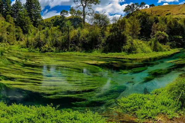A clear, green river winding through a forested hillside.