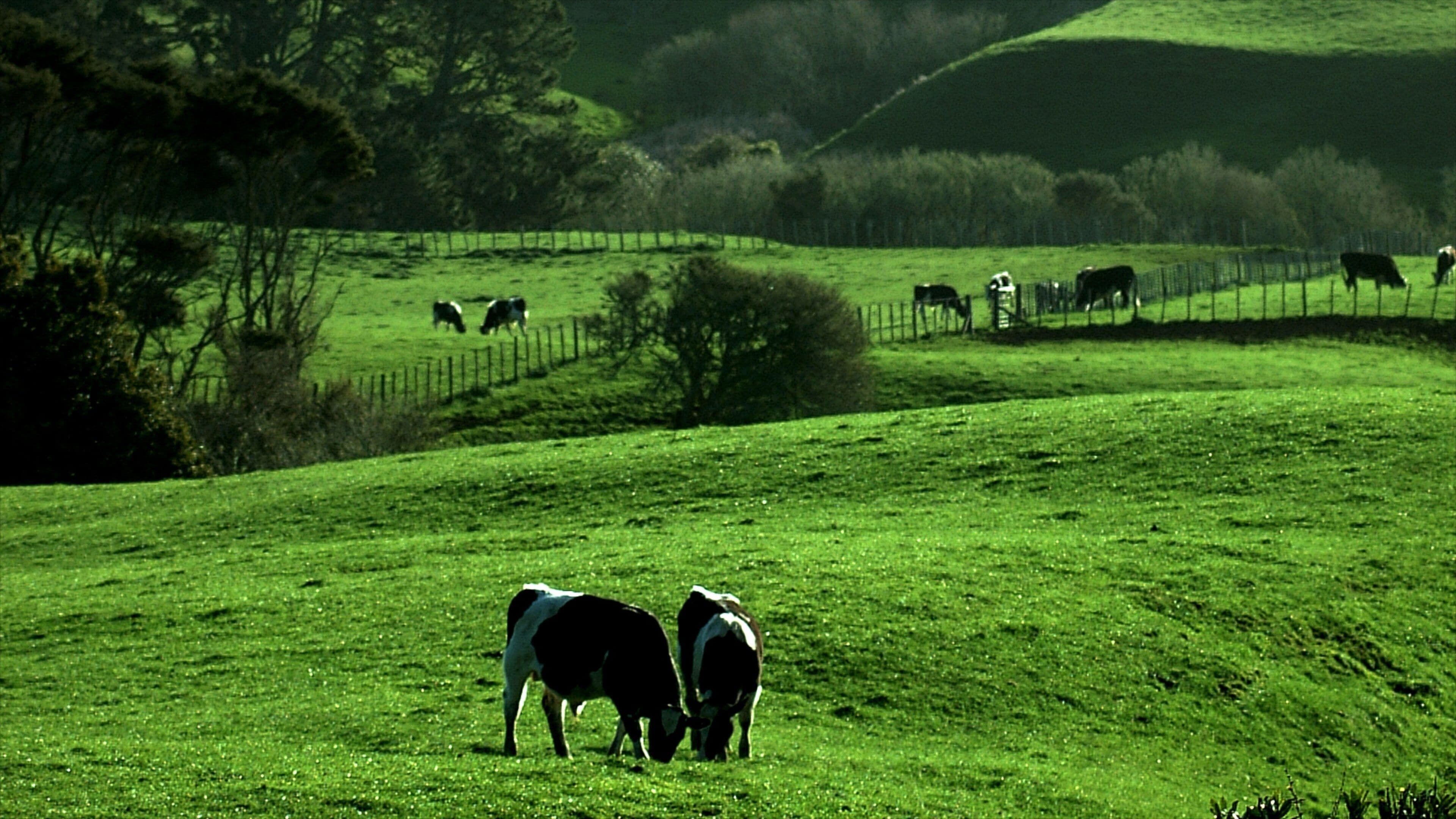 Hamilton que incluye vistas de paisajes, animales terrestres y escenas tranquilas