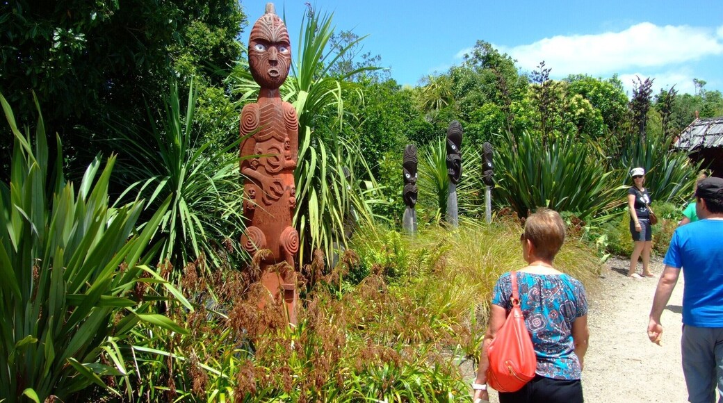 Te Parapara Garden
#hiking
