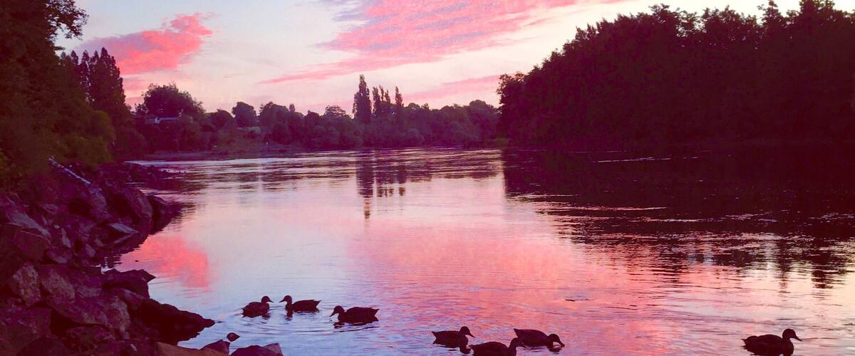 This picture was Taken in New Newzealand. just driving back from the beach and the Sky was pink and blue.#Stunning#Newzealand🇳🇿✈️🌴😊🌅