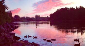 This picture was Taken in New Newzealand. just driving back from the beach and the Sky was pink and blue.#Stunning#Newzealand🇳🇿✈️🌴😊🌅